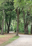 Wittelsbach Park large lawn