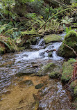 Whyte Lake Trail