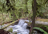 Whyte Lake Trail