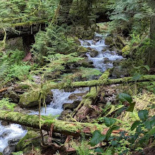 Whyte Lake Trail