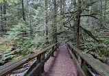 Whyte Lake Trail