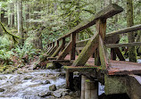 Whyte Lake Trail