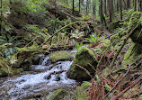 Whyte Lake Trail