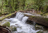 Whyte Lake Trail