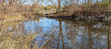 Trail at Nature Centre