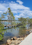 Foreshore Walk