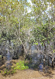 Foreshore Walk