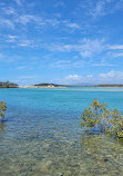 Foreshore Walk