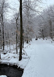 Ski de fond Moulin