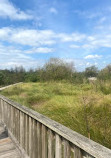 Madere Marsh Boardwalk