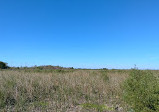 Madere Marsh Boardwalk