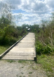 Madere Marsh Boardwalk