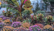 Stuyvesant Town Fountain