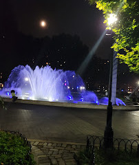 Fontana della città di Stuyvesant