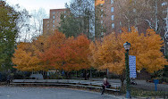 Stuyvesant Town Fountain