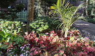 Stuyvesant Town Fountain