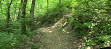 OECR Mountain Bike Trail