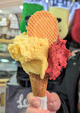 Il Gelatone Roma