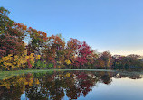 Thomas Lake Park