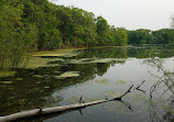 Thomas Lake Park