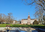 Large Pond at Castle Philippsruhe