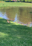 Large Pond at Castle Philippsruhe