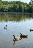 Large Pond at Castle Philippsruhe