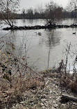 Large Pond at Castle Philippsruhe