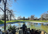 Large Pond at Castle Philippsruhe