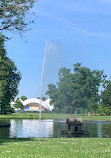 Large Pond at Castle Philippsruhe