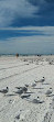 Siesta Beach