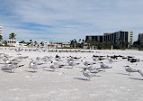 Siesta Beach