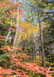 Hardy Lake Trail Head