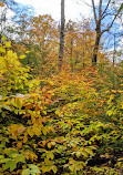 Hardy Lake Trail Head