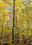 Hardy Lake Trail Head