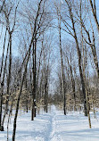 Hardy Lake Trail Head