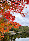 Hardy Lake Trail Head