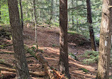 Hardy Lake Trail Head