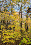 Hardy Lake Trail Head