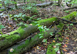 Hardy Lake Trail Head