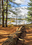 Hardy Lake Trail Head