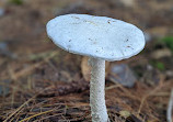 Hardy Lake Trail Head