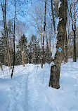 Hardy Lake Trail Head