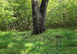 Hardy Lake Trail Head