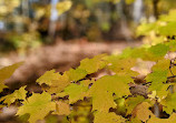 Hardy Lake Trail Head