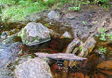 Hardy Lake Trail Head