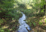 Hardy Lake Trail Head