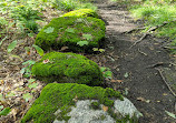 Hardy Lake Trail Head