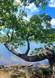 Hardy Lake Trail Head