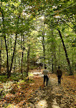 Huckleberry Rock Lookout Trail